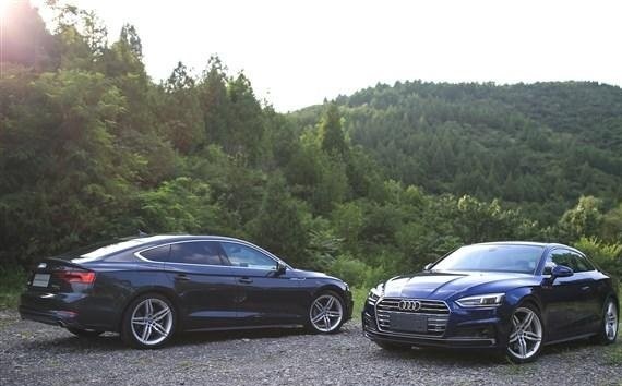 不喜欢烂大街的宝马，这3款车见过就过目不忘，回头率超高！