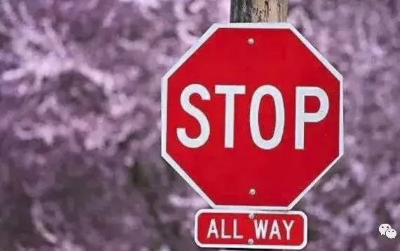 出国自驾是好事，但别把恶习也带出去