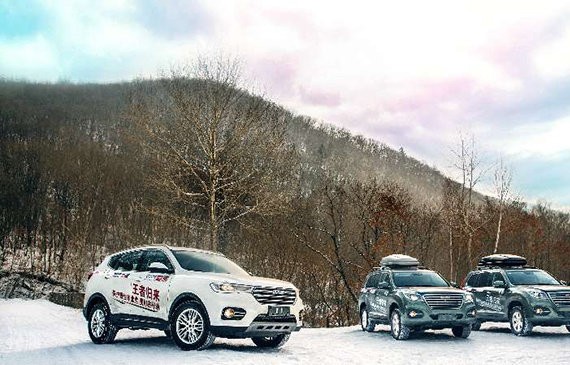 安全哈弗 助力野生东北虎生存环境更安全