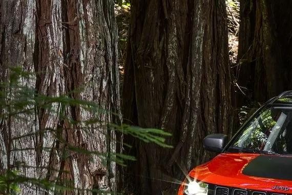 南粤新王牌，让你认识不一样的Jeep！