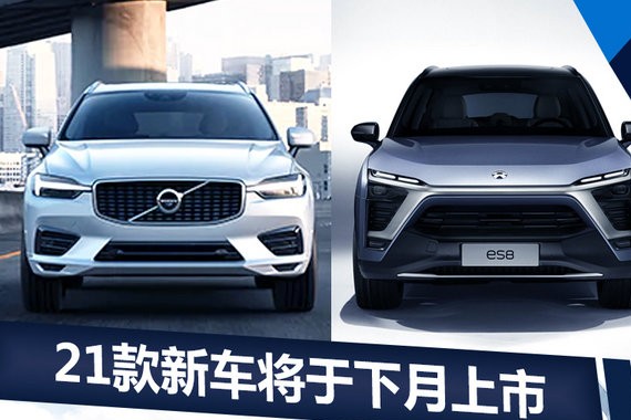 超20款新车将于12月上市 SUV最低仅9万(多图)