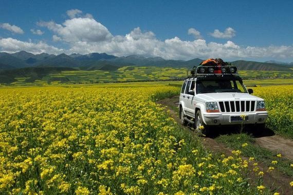 仪表盘上出现“咖啡杯”啥意思？大部分车主都不知道