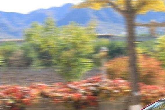 年底新车大比拼，12月多款上市新车价格爆光准备买车的钱够了吗