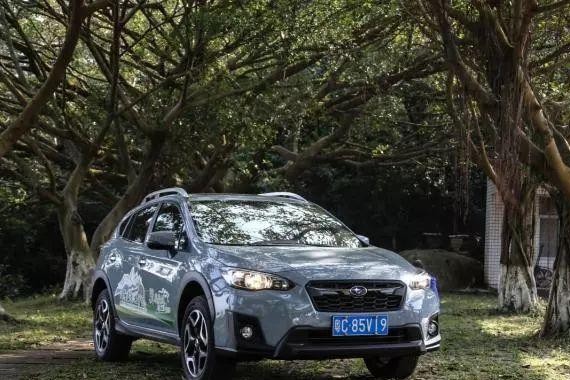 开着新一代SUBARU XV，去红树林湿地植树，是一种怎样的体验？