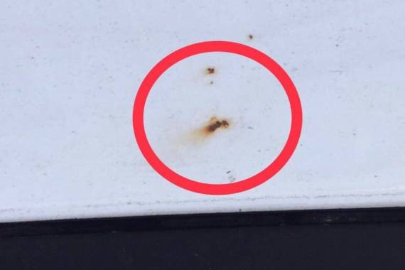 车顶生锈、车身黄斑，现代领动车主还发来了视频……