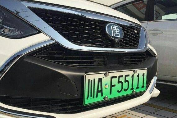 比亚迪组织车主上“绿牌”，10辆车5辆“豹子号”，场面太壮观！