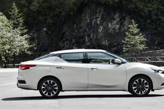 不被更多人知道的蓝鸟，拿到钥匙的那一刻，整夜都无法入睡！