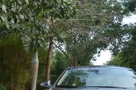 睿骋CC做时代的“异类”，身怀武艺获众人“心水”