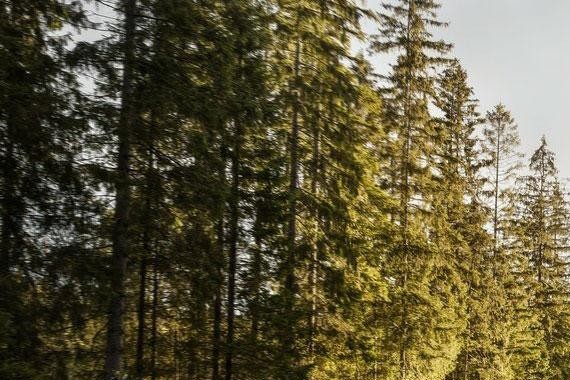 是什么造就了沃尔沃的安全标签