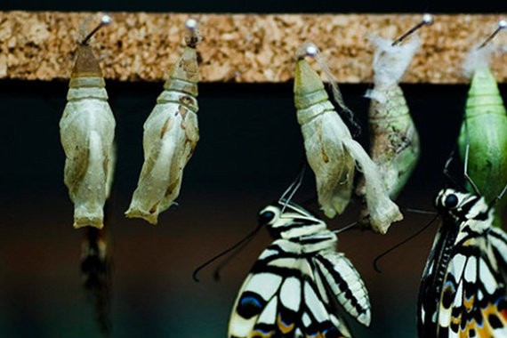 连续下滑时，向上升级与市场拓展或能刺激轿车市场企稳