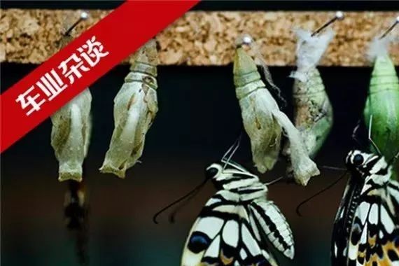 连续下滑时，向上升级与市场拓展或能刺激轿车市场企稳｜车业杂谈