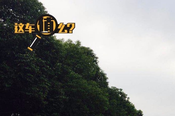 昂克赛拉这么惨了？连蓝鸟都敢喊他“辣鸡”？