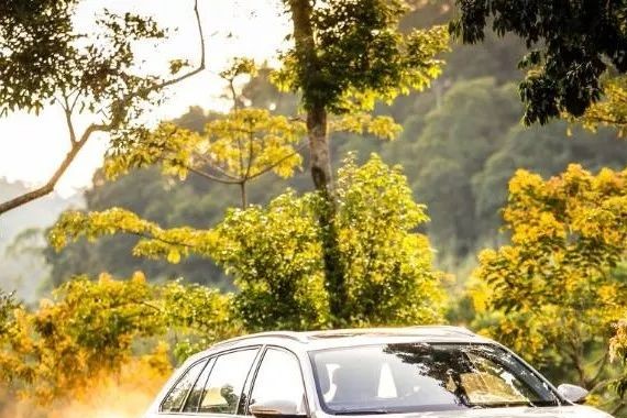 专注之年，看一汽-大众逆势之下强者恒强！