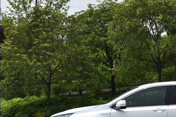 纠结很久要不要买日产奇骏？看到这款SUV后，我果断放弃了途观！