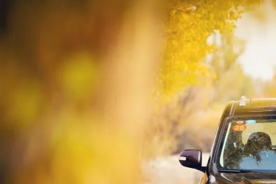 速递!新鲜的“东风风行“资讯全在这，看我就够了