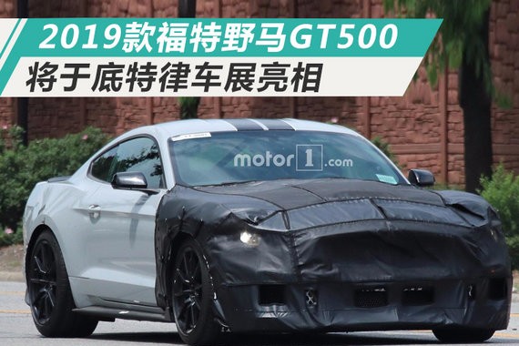 福特将推出新款野马GT500 动力提升/本月亮相
