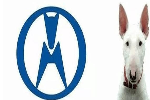 这些国产最丑车标，最后一个让女司机捂脸大羞