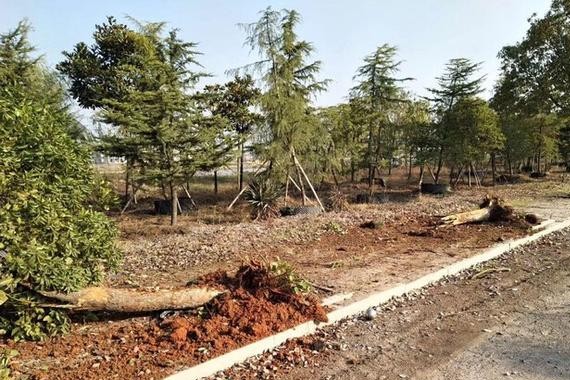 哈弗H9怼了树和电线杠，网友：长城在安全性能方面是下了真功夫的