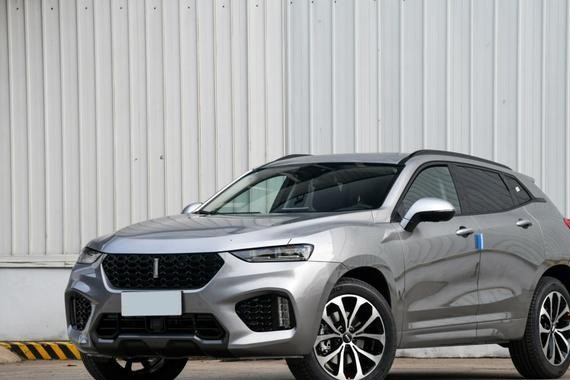 WEY和领克最终，会相杀还是相爱？还是说出来一个第三者