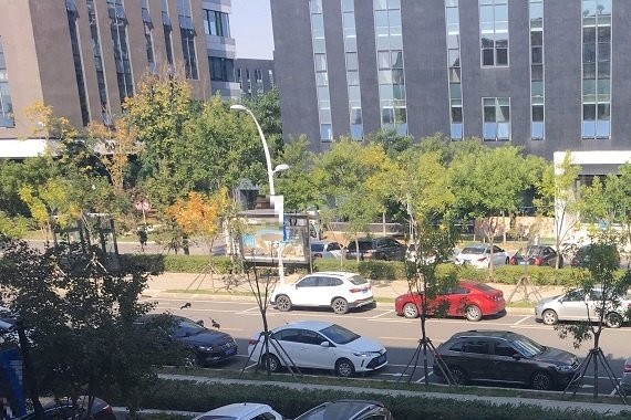 老司机执意要买卡罗拉双擎，网友说理由太强大