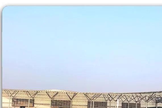 与BBA不同，要喜欢上辉昂，你需要细细品味｜车业杂谈