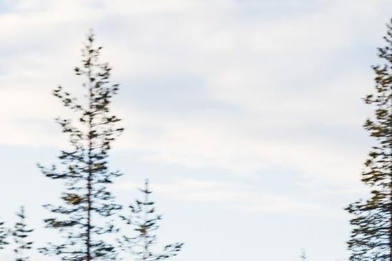 家里准备买车，却为买轿车还是SUV发生争执？到底谁更好？