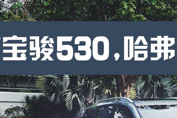 首试宝骏530，哈弗H6的最强对手来了？