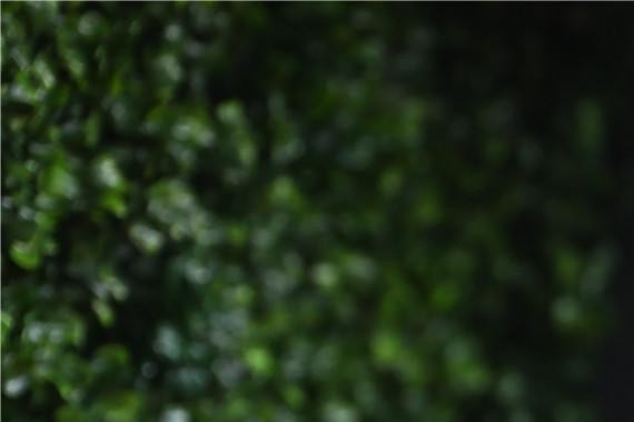 在昆明感受一场“人、车、社会、生活四位一体”的服务