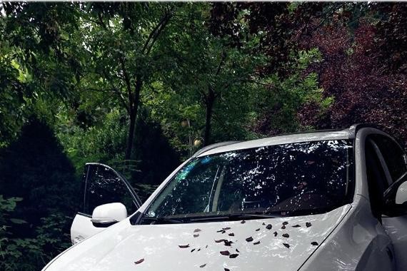 迎合一家人喜好的东南DX7，果真春风十里不如你！