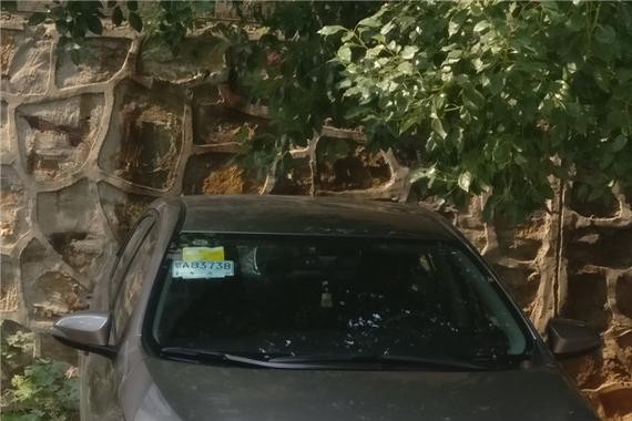 小区停车场这款车越来越多了，图个性价比卡罗拉真的还不错