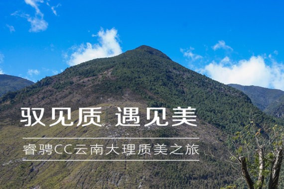 最强证言：消费者说Ta是国民化的奔驰E级！