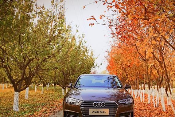 拼动力，比配置！纵观车市德系豪华B级车，谁最实用？