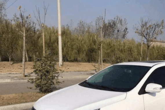 放弃本田思域买了这车, 提车开回家, 邻居还以为这车几万就能买到