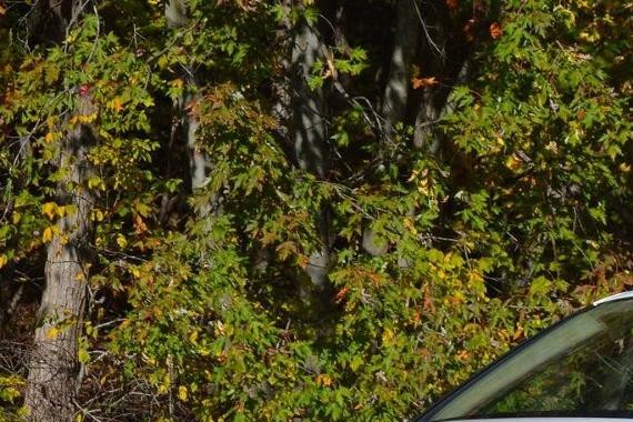 新改款，老样子！“灯厂”奥迪能否再多给我们一些惊喜？