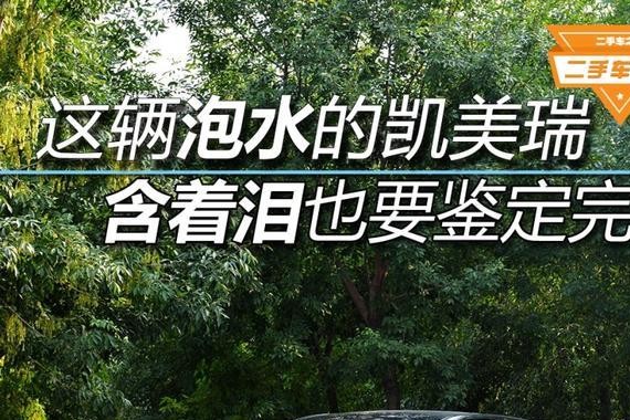 臭气熏天的凯美瑞，这车有点辣眼睛！