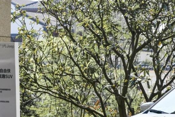 卖汽车也打八五折, 这次可是Jeep自由光!