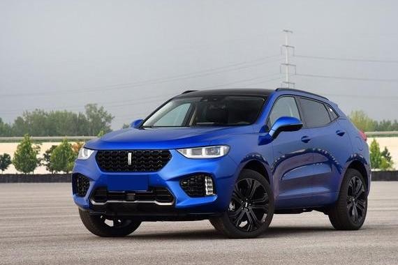 全新国产高端品牌，年龄只有1岁，旗下只有2款车型，月销量均过万