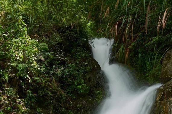 用山泉水给博瑞洗了个澡，就问你奢侈不奢侈