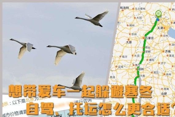 想带车一起躲避寒冬 自驾/托运怎么选