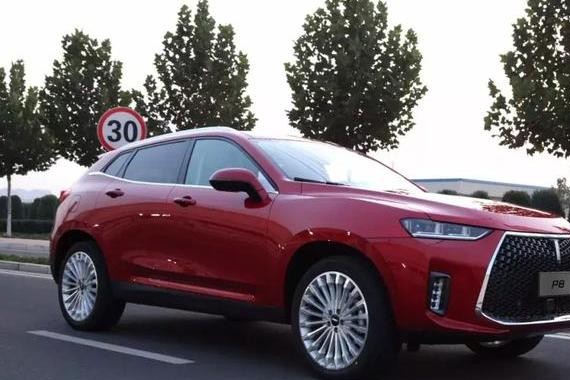 一上市就干掉合资车，揭幕某国产SUV背后的真相~