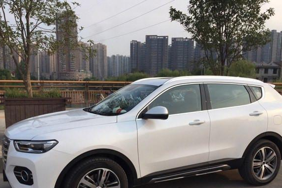 15.4万入手红标哈弗, 同为国产, 车主: 比吉利博越靠谱