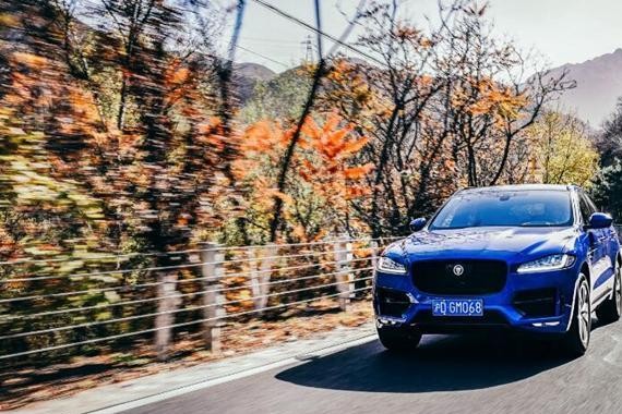 F-PACE和保时捷Macan在妙峰山剑拔弩张左右为难