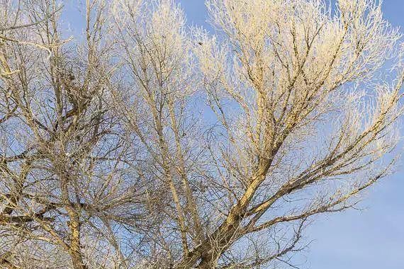 Jeep 4X4=？ 这是道哲学题