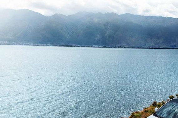 “挑食”的年轻人最喜欢哪款车，是日系卡罗拉、韩系名图还是睿骋CC？