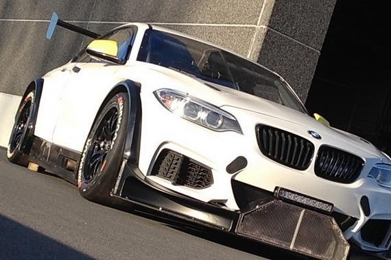 宝马的赛车也是相当酷！快来看看长啥样