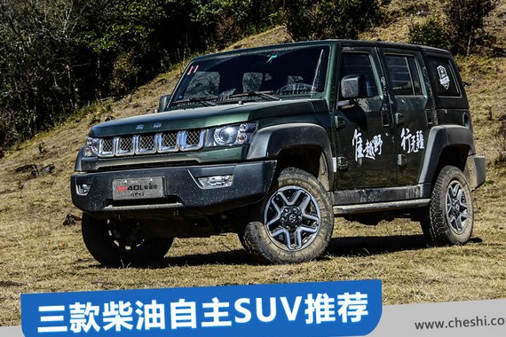 八缸车的扭矩 四缸车的油耗 三款柴油自主SUV推荐