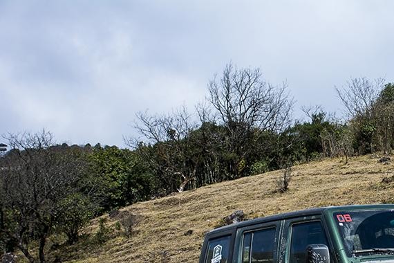 纯正硬派，这国产SUV野起来连合资都怕！