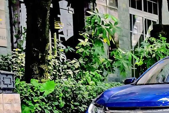 过年装X指南 跟人聊日德韩系车得这样说...