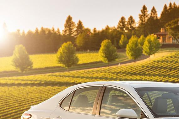 大众车又霸榜！别急！这些亮点新车也可以看看！