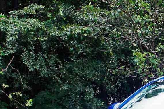 无敌空间后备箱！家用王者车型仅需4万起！